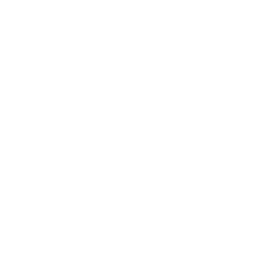 CSS